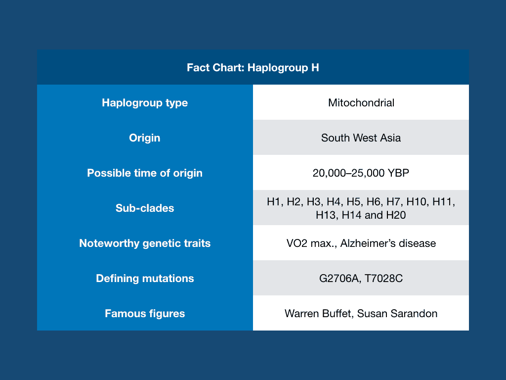 Haplogroup H Fact Chart
